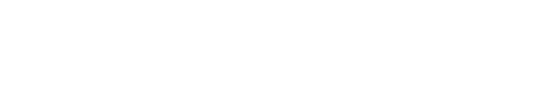 Borderless AI Logo